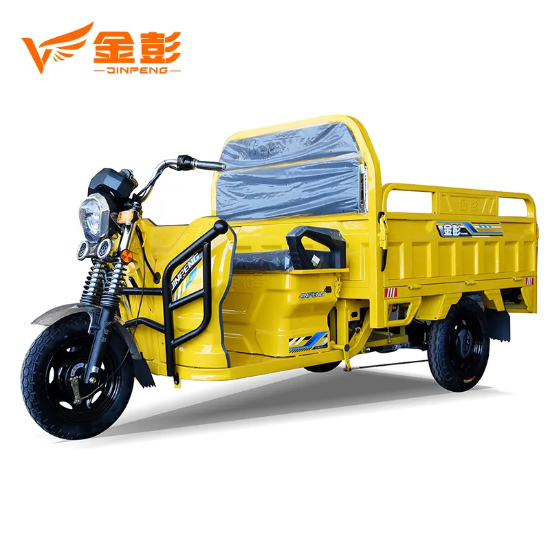 Трициклы грузовые бу. Jinpeng трицикл. Трицикл Volteco Trike 1000w. Грузовой трицикл электро Sigma. Электромотороллер грузовой.