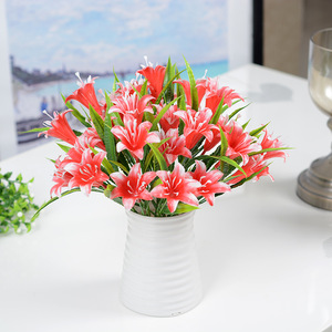 装飾的なニーズに対応する魅力的なスターゲイザーユリの花 Alibaba Com 装飾的なニーズに対応する魅力的なスターゲイザーユリの花 Alibaba Com