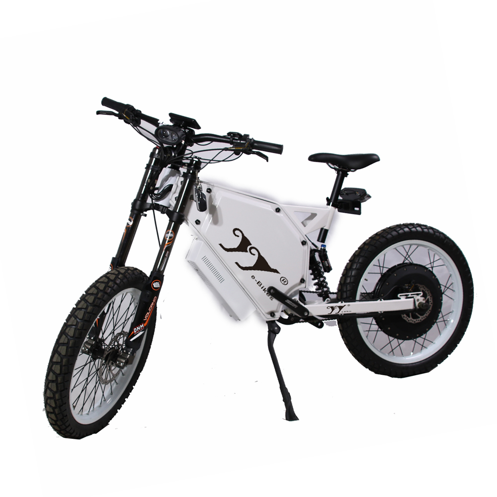 sakura electric bike price