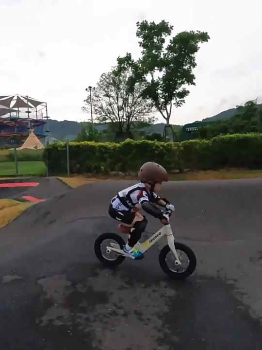 manual tire inflator