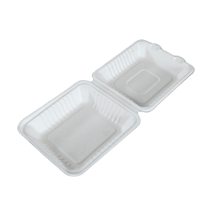 Eco-Friendly Biodegradable Sugarcane Bagasse Food Container Biodegrad Food Container