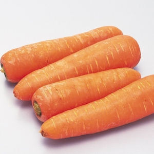 red carrot-red carrot manufacturers, suppliers and exporters on