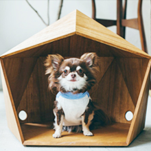 Smart home Open API interface Zigbee3.0 greenpower Wireless Temperature and Humidity Sensor