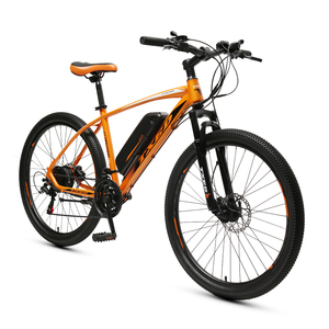 xiongying electric fat bike