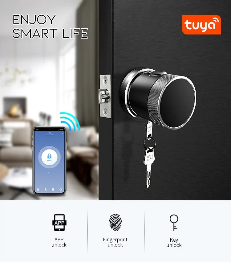 Smart Home Tuya WIFI Smart Biometric Fingerprint Handle Door Lock with Tuya smart life APP