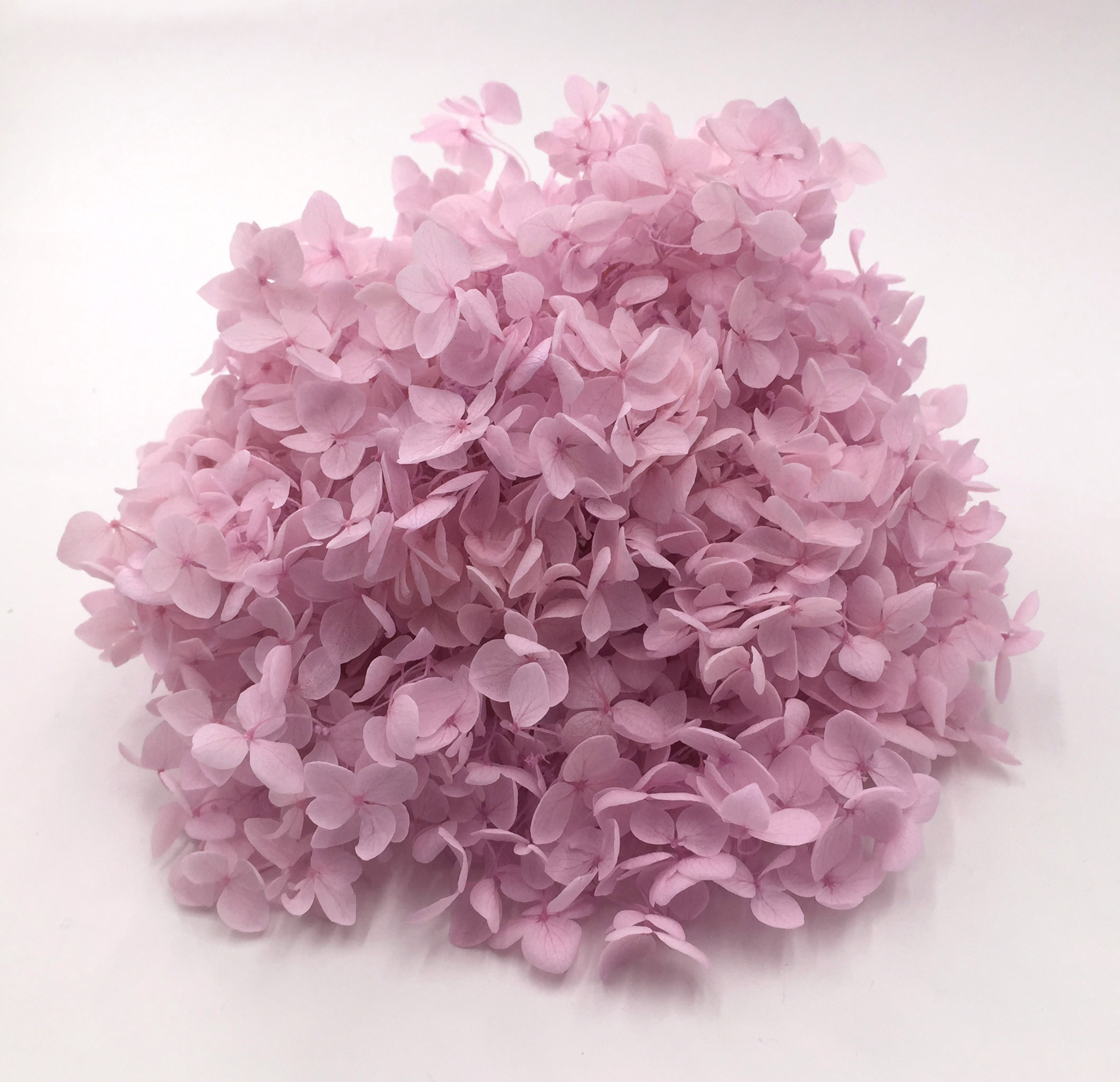 Seda de Algodón Flores Rosa Magenta Verde azulado Bordado encaje de corte tallo pétalos 0.5m