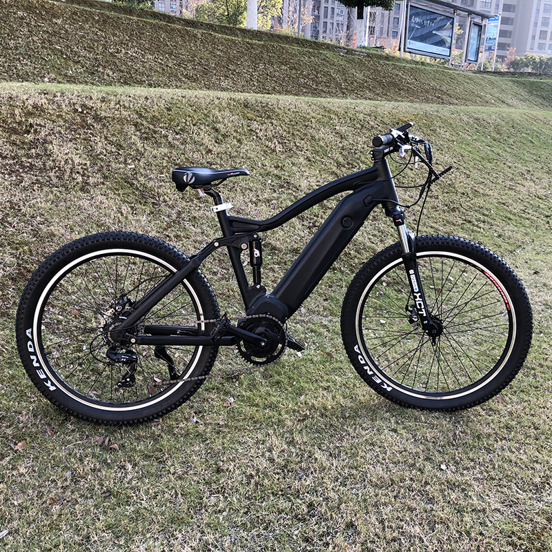 electric bike wholesale supplier