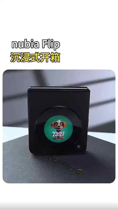 ZTE Nubia Flip 5G - 6.9 Inch Foldable Smart Phone with 50MP Camera