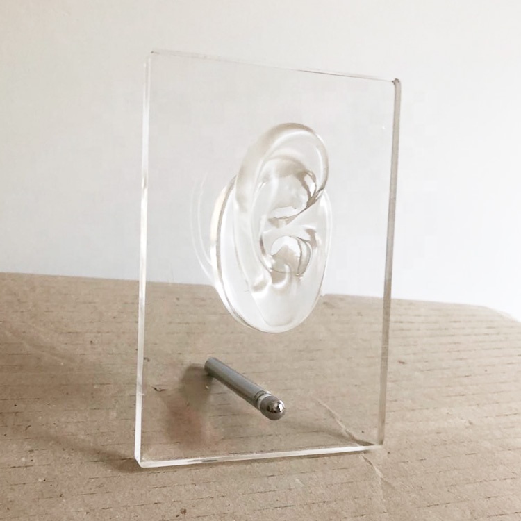 Фабрика прямых слуховых аппаратов дисплей подставки с одной силиконовой модели уха на