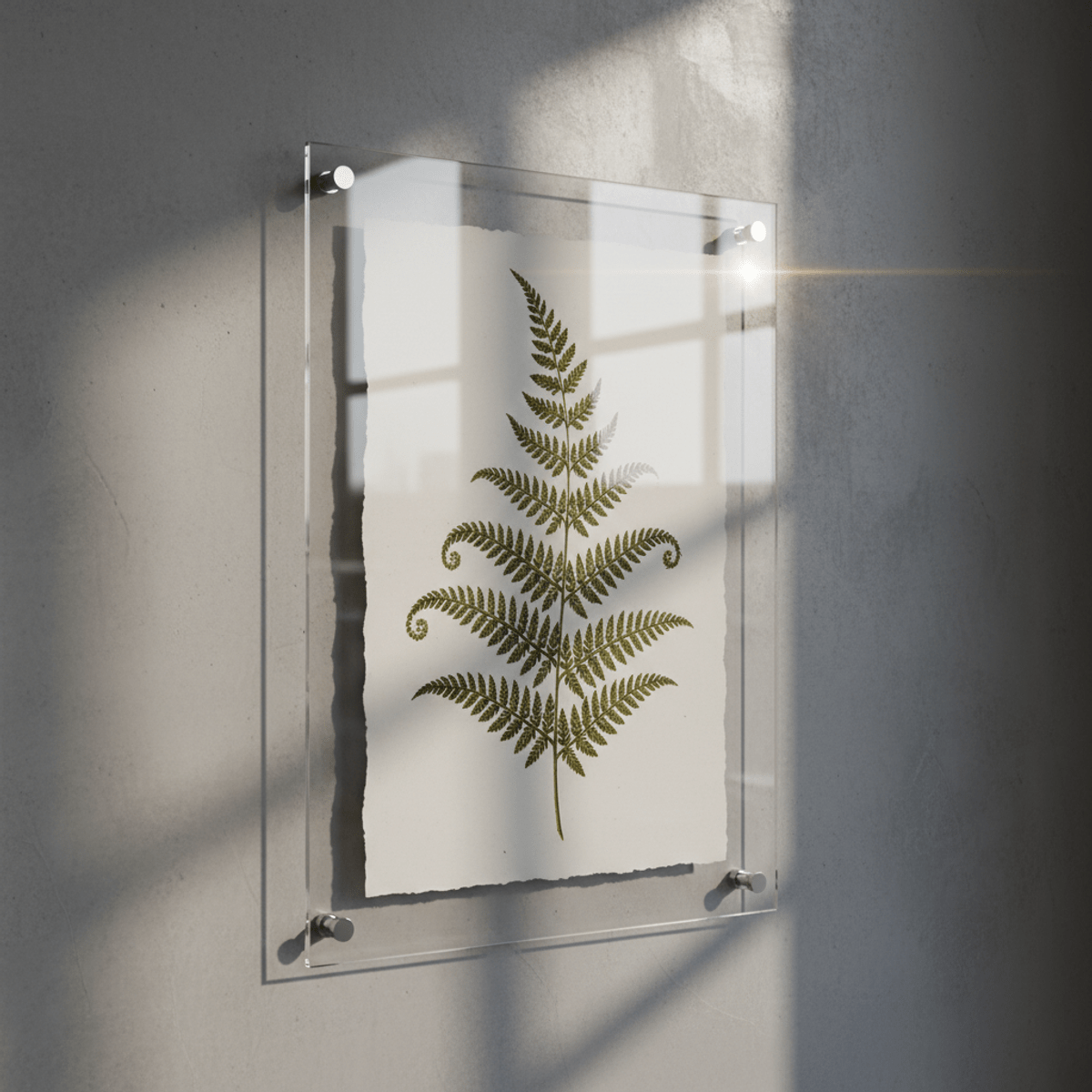 Botanical art in a modern floating acrylic frame Modern gallery wall features botanical art in a floating acrylic sandwich frame.