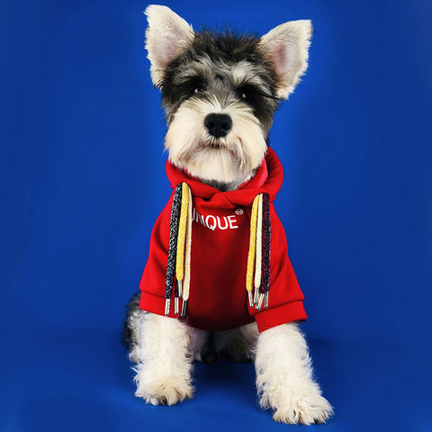 winter clothes, winter clothes direct from hangzhou topstudio