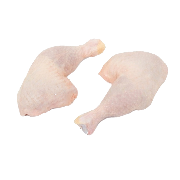 Колибактериоз цыплят бройлеров. Окорочка куриные оптом. Курица окорочка. Окорок куриный. Окорочка куриные оптом.