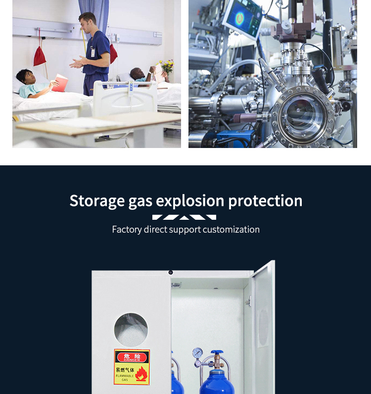 Hot sale All steel Gas Cylinder Cabinet  for Laboratory Lab Furniture/