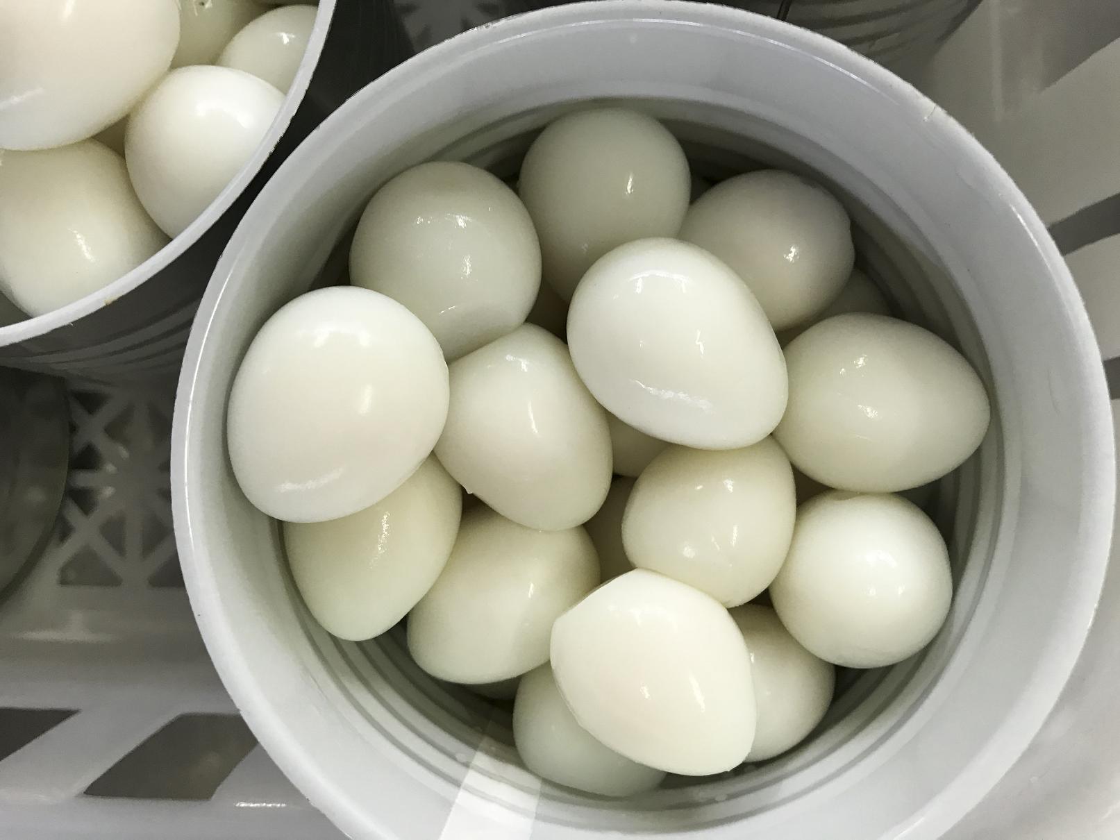 SOLUSTRE Century Eipulver - Traditionelles Pulver Für Konservierte Eier