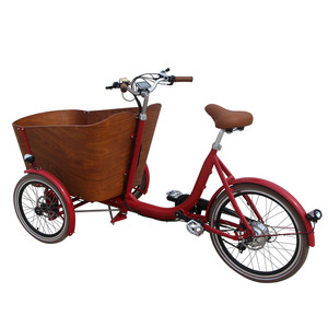 swego electric trike price