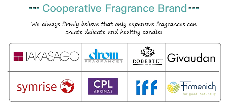 آویزان ضد حشرات قلع سیترونلا سطل شمع پارافین برای مسافرت 4