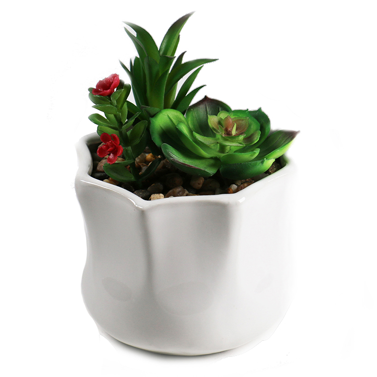 Пластиковый горшок для растений, искусственные мини-суккуленты в маленьком красивом белом горшке для украшения дома и офиса