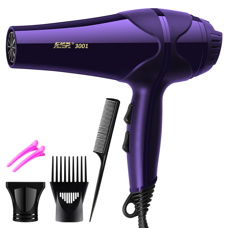 Оптовая продажа, OEM-фен с заводским логотипом, деталь для салона, электродвигатель переменного и постоянного тока, роскошный фен для волос