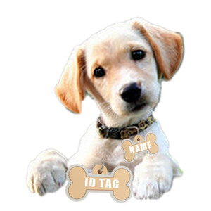 Finden Sie Hohe Qualitat Silikon Hund Tag Hersteller Und Silikon Hund Tag Auf Alibaba Com