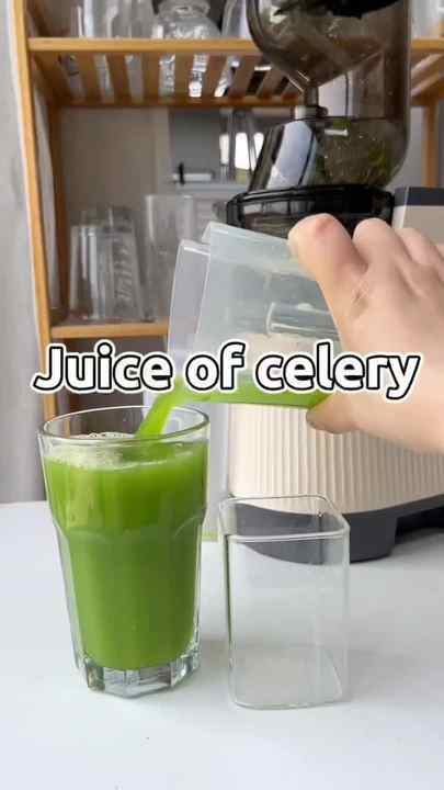 Professional Commercial Cold Press Juicer - MOKUSAN MZ01