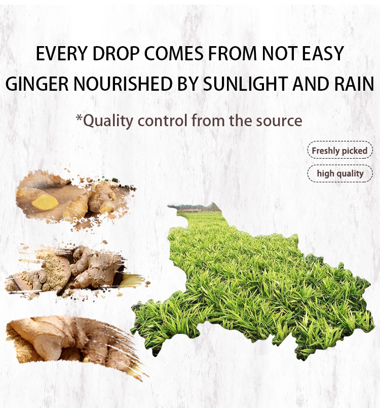 Cas 8007 08 7 Wholesale Price Slimming Ginger Massage Essential Oil For Hair care