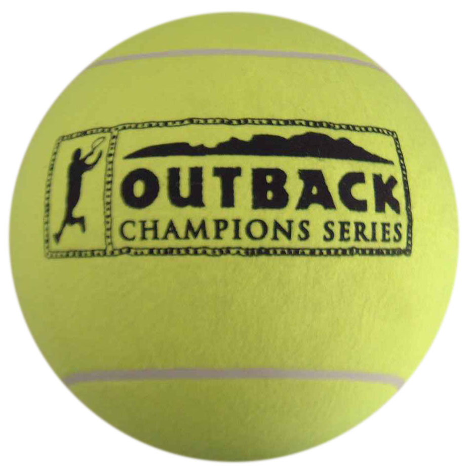 Оптовая продажа розовый логотип печать теннисные мячи