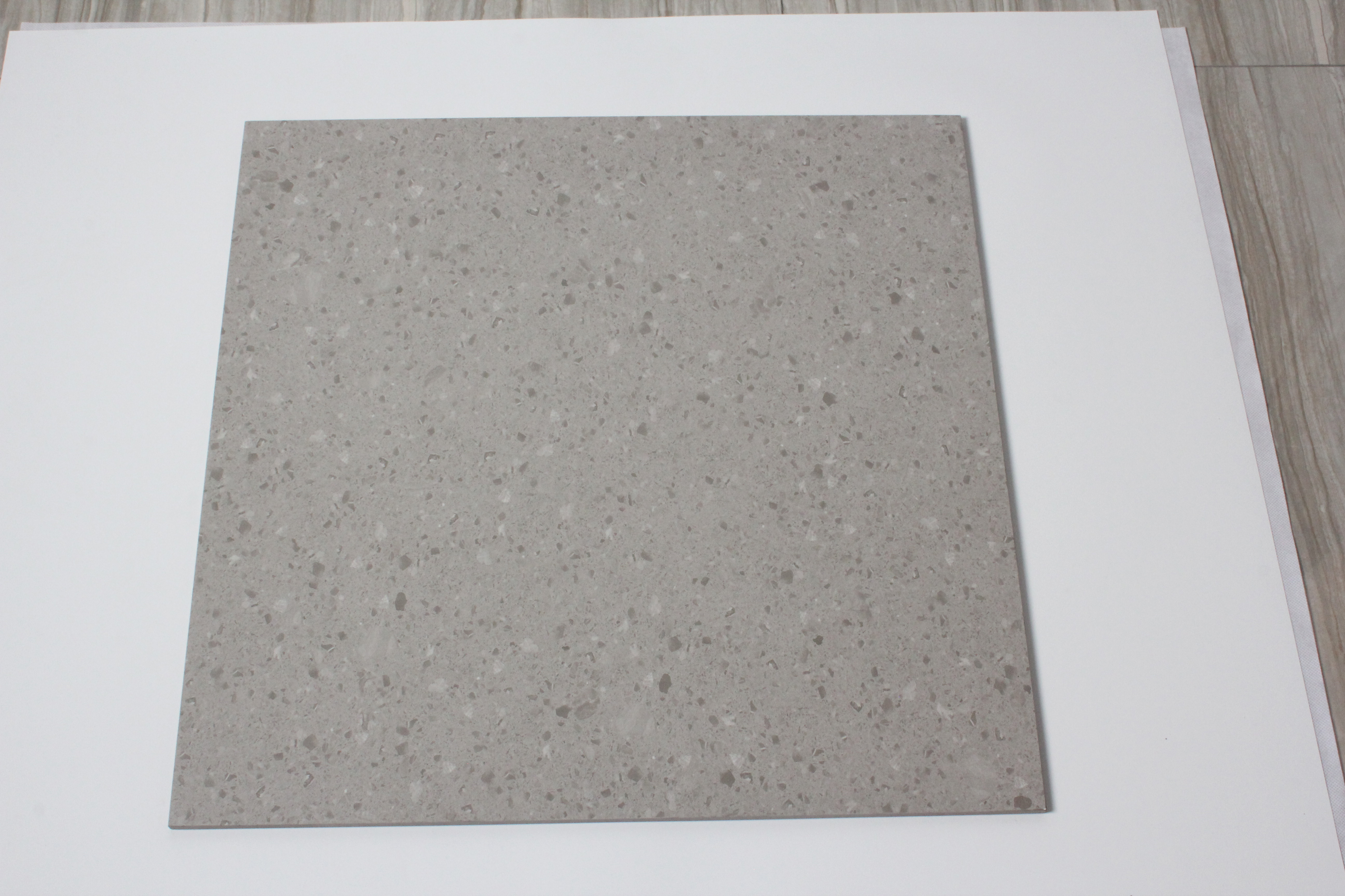 Hasin New Arrival Marbella Gray Stoneware Matt 600X600 Rustic Cement For Floor Tile