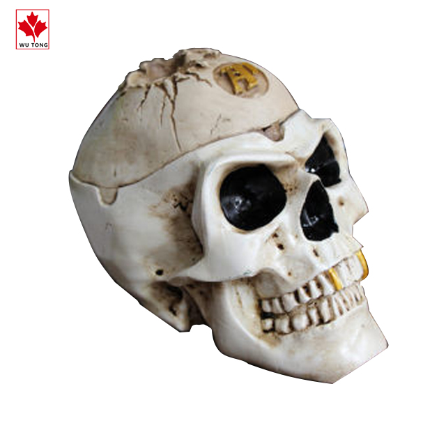 Новый реалистичный медицинский череп, Реалистичный, 1:1