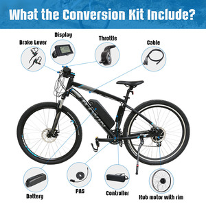 2wd electric bike conversion kit