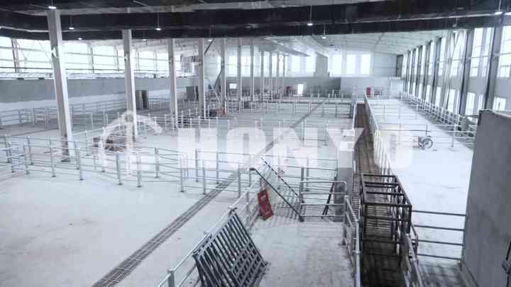New HONYO Rotating Restraint Box for Cattle Slaughtering Farm Use ...