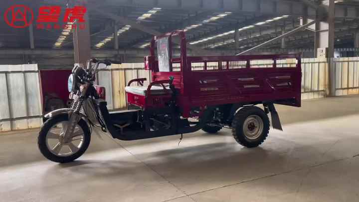 CHINA WANGHU High Quality 3-Wheel Electric Tricycle Trike for