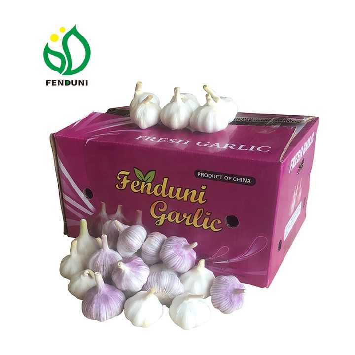 Thailand Elephant Garlic Bulbs for Sale
