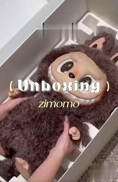 Authentic 100% POP MART Labubu Plush Dolls - Mystery Boxes