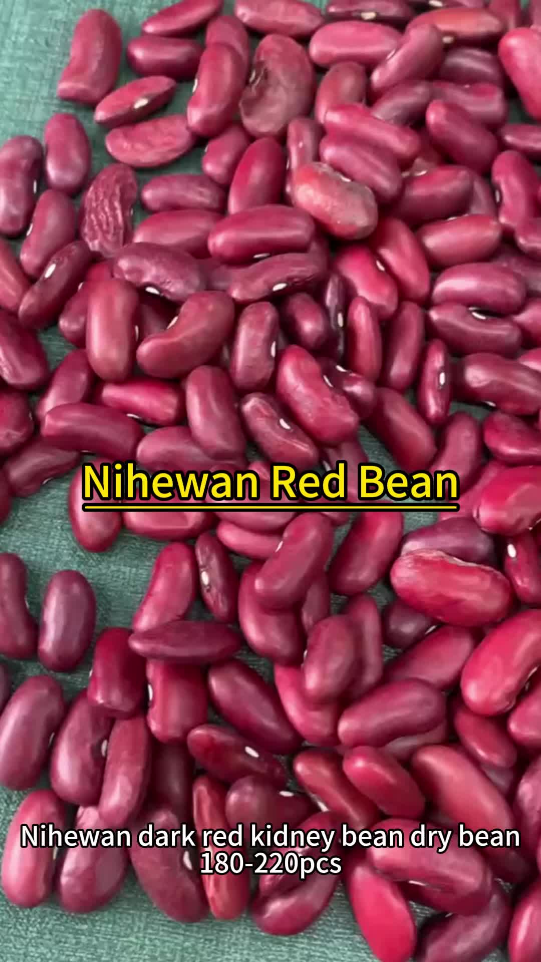 FAIZA RZ - Bean | Rijk Zwaan USA