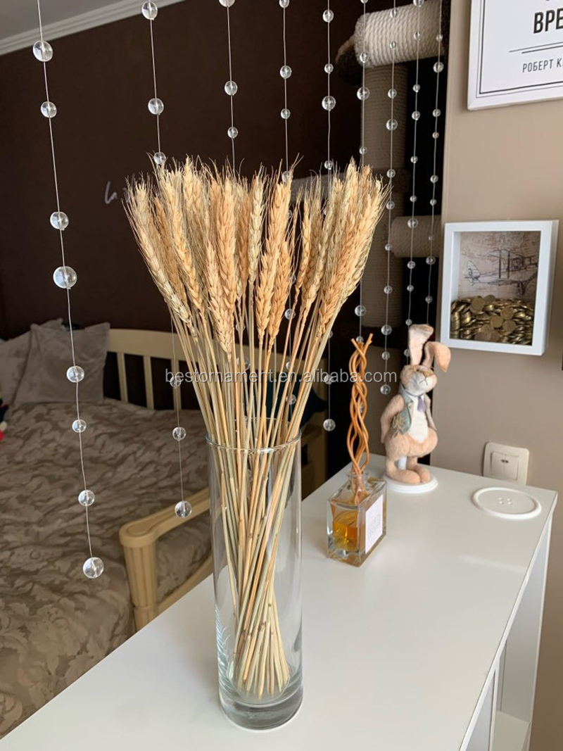 100Pcs/lot Real Natural Wheat Ear Flower Bouquets Wedding Bouquet Dried Flowers Decor