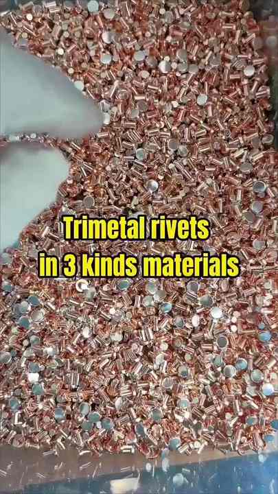 ROHS Approved Electrical Bistable Trimetal Silver Contact Point Silver ...