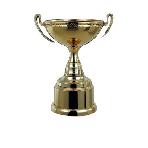 trophy cup