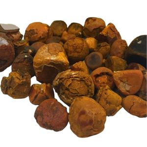 high quality natural cattle gallstone bezoar/calculus bovis
