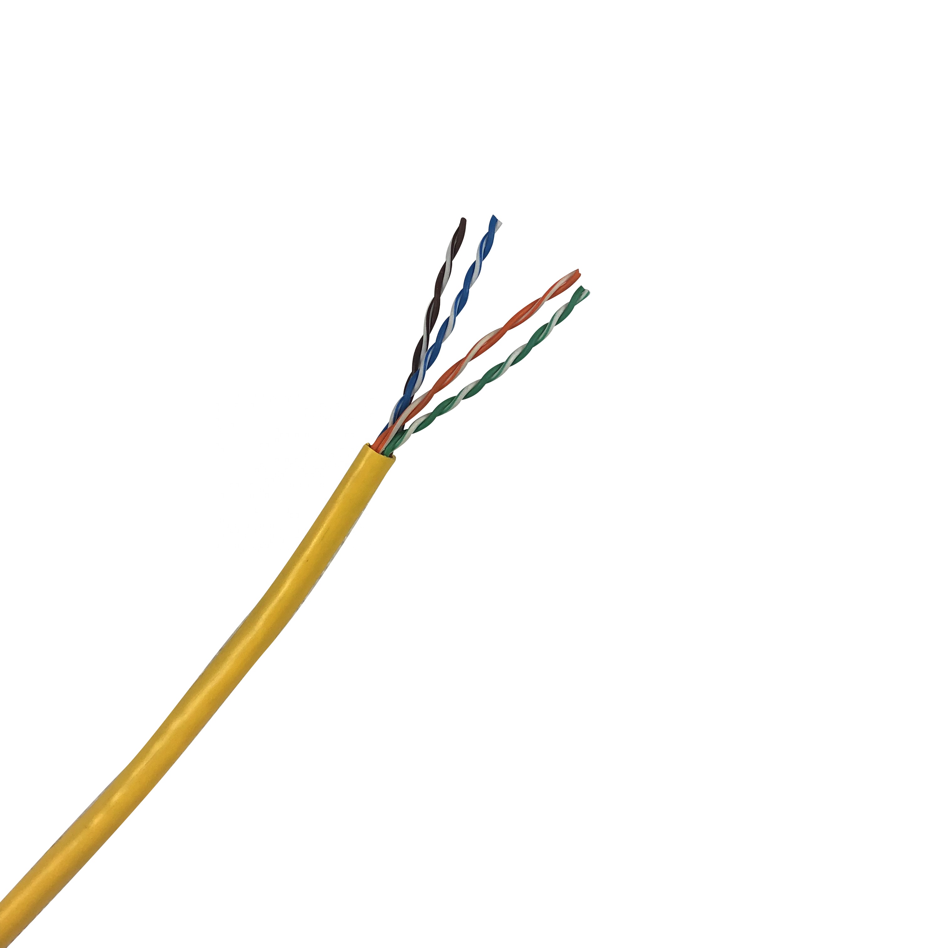 Utp4 c5e s24