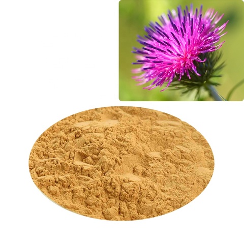 水飞蓟粉水飞蓟粉水飞蓟素80% 天然