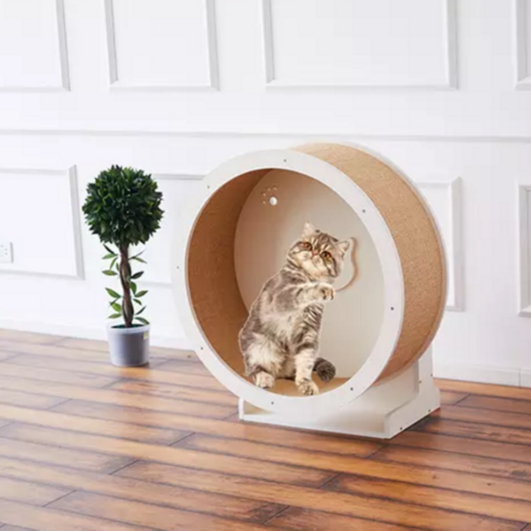 Promotion French Acheter Des French Produits Et Articles En Promotion French Aupres Des Fabricants Et Fournisseurs Sur Alibaba Com