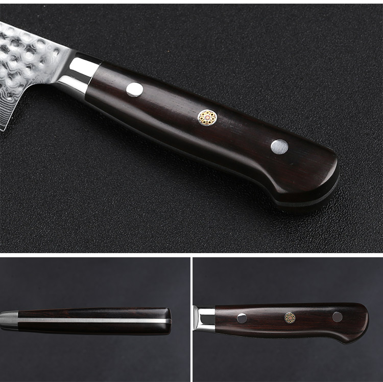 Hi-Performance Damascus Steel Kitchen Knife Japanese Chef's Knife Gyuto