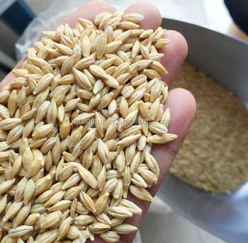 order)$550.00 - $600.00/piecepigeon feeder  feeding