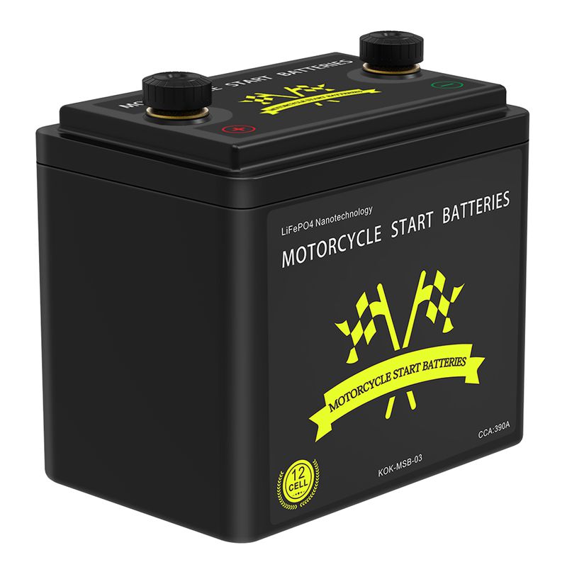 smartbatteryeco.com POWER A123 4S3P LiFePO4 12V 7500mAH 390CCA motorcycle start battery