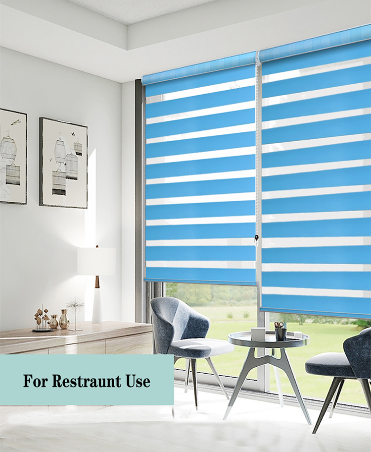 China window zebra blinds for home