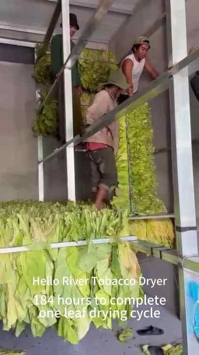 tobacco south africa Cigarette smuggling thrived after South Africa banned its sale