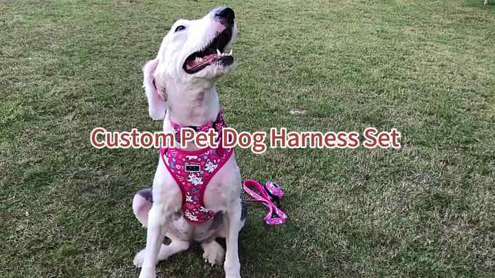 Custom Luxury Pet Dog Harness Set Adjustable Reflective