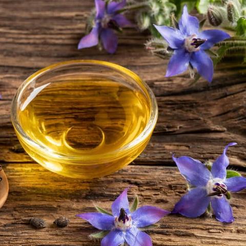 纯天然调节激素琉璃苣籽油