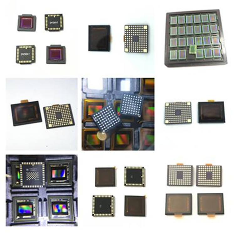 Interruttori Vibrazione Inclinazione SW-520D - 20 Pezzi, Sfera 22.2x5.2mm, 5V, Per Elettrodomestici, Giochi