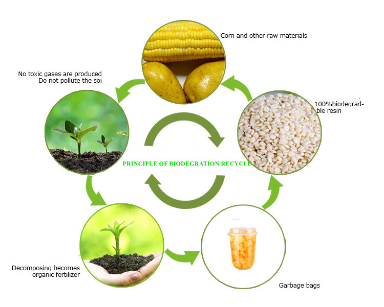 BPA Free Food Packing 24oz 750ml Clear PET Deli Container Disposable 1